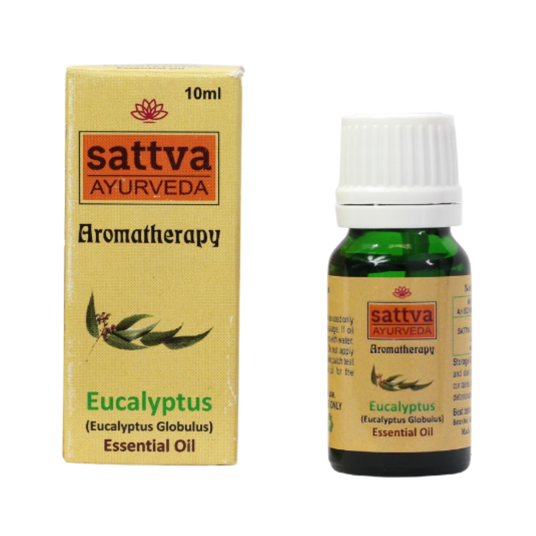 Aromatherapy Essential Oil Eucalyptus Essential Oil 10 ml