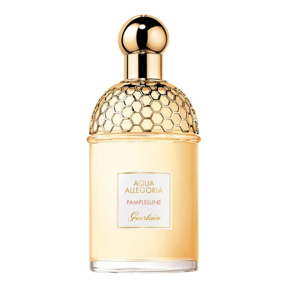 Aqua Allegoria Pamplelune